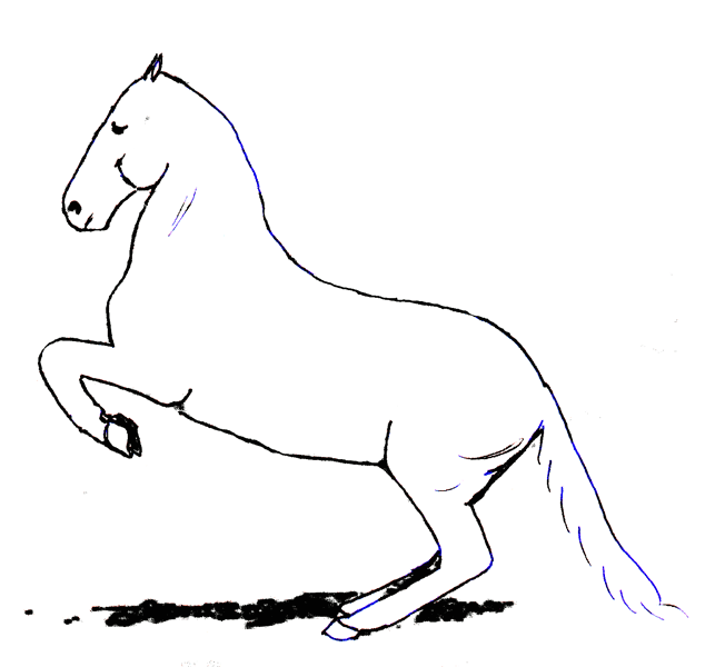clip art jumping horse outline - photo #31