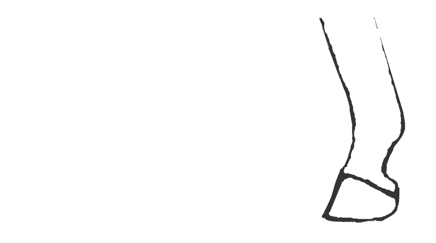 toe-flip-animation
