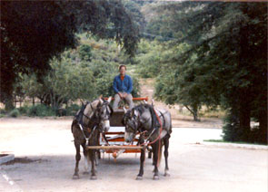 Mike, Teak and Teak's son, C'est Moi