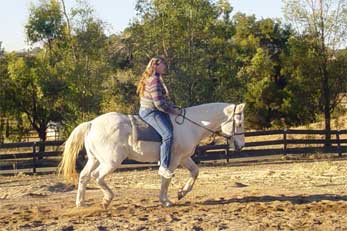 Teak at age 28