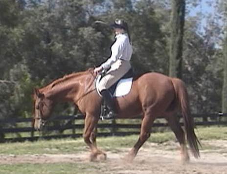 Amy demonstrating 'walk on the buckle'